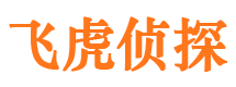 龙泉驿侦探调查公司